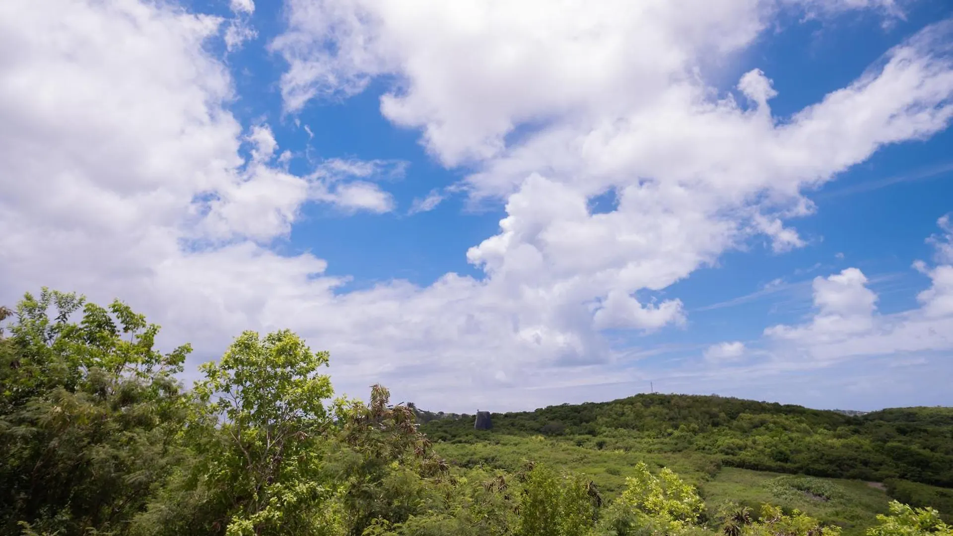 Leluxe Cedar Valley Suite A Woods 0*,  Antigua e Barbuda